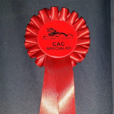  UNITED SPOTS Yulee won CAC t